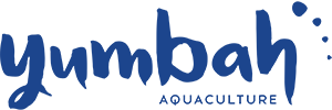 Yumbah Aquaculture Ltd