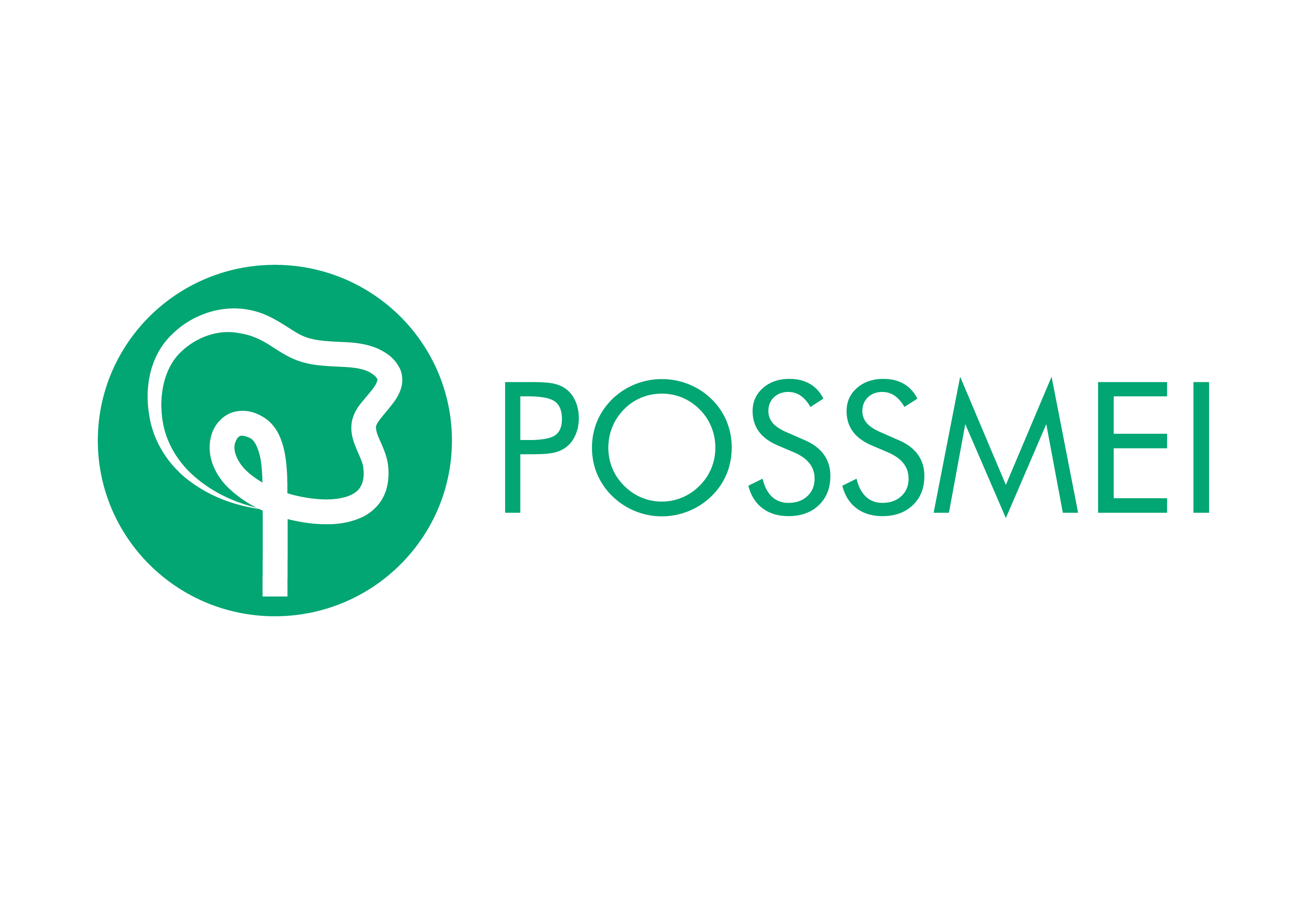 Possmei International Co, Ltd.