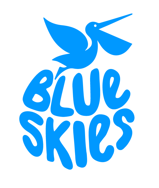 Blue Skies Holdings Ltd